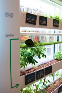 AURA écosystème aquaponie travail espace bien-être aménagement agriculture indoor potager