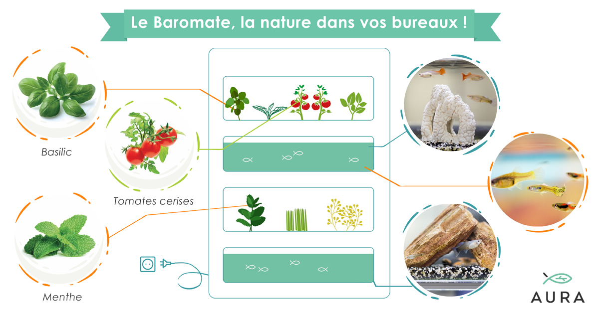 Pourquoi votre agence de conseil a besoin de notre Baromate ?