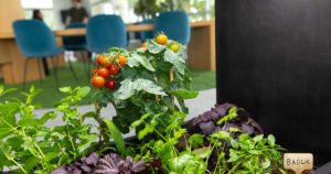 Connaitre la biophilie