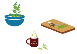 Consommer les plantes de votre Baromate en salade, en assaisonnement ou en infusion. Découvrez nos astuces recettes sur vos fiches pédagogiques ou dans nos Newsletters !