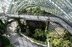Un jardin exotique sous un dôme de verre et de métal, à Singapour : l’innovation en marche ?