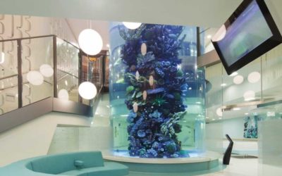 Le design biophilique en centre hospitalier, ça marche !