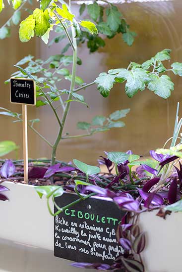 Le jardin partagés en entreprise