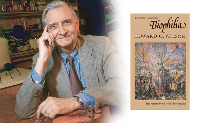 Biophilia ouvrage de Edward O. Wilson